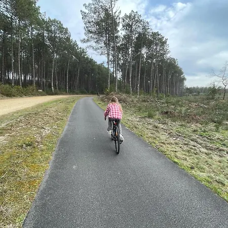 Aux Bonheurs Landais Guest house