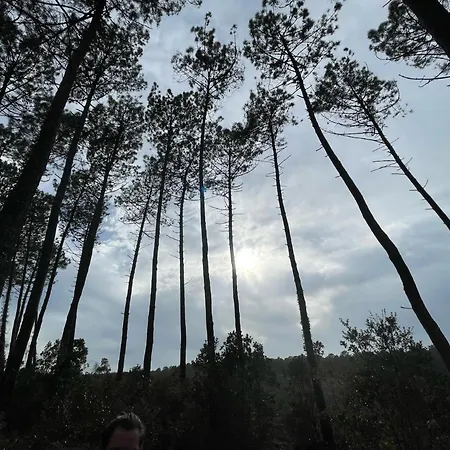 Guest house Aux Bonheurs Landais 3*